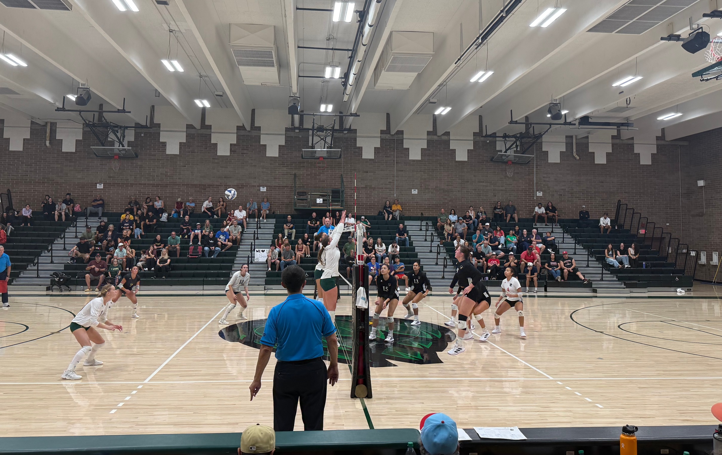 Artichokes Drop Five Setter to Glendale