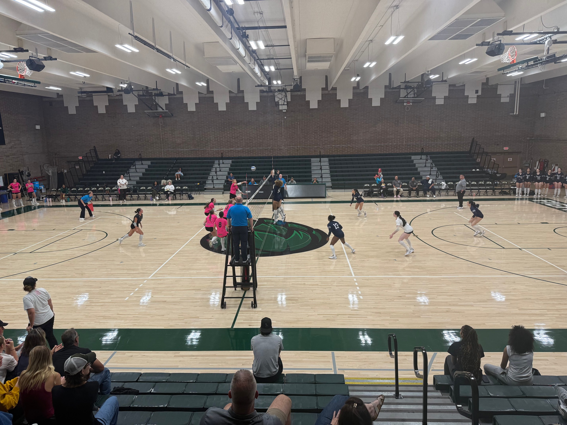 Volleyball Takes Down Phoenix in Three